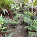 DSC00535